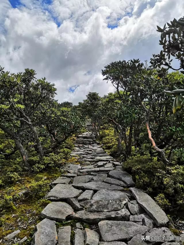 有哪些值得一看的免费景点？