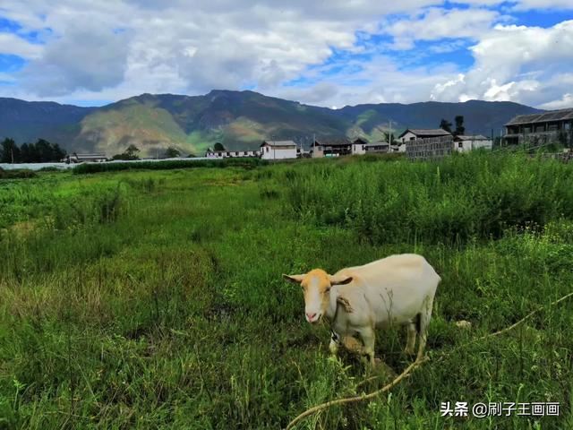 有哪些值得一看的免费景点？