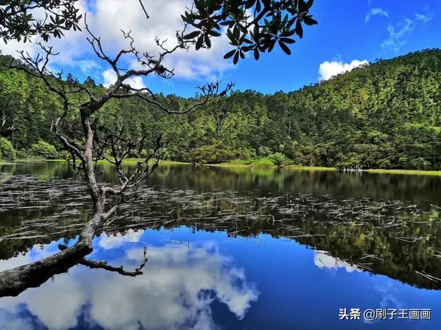 有哪些值得一看的免费景点？
